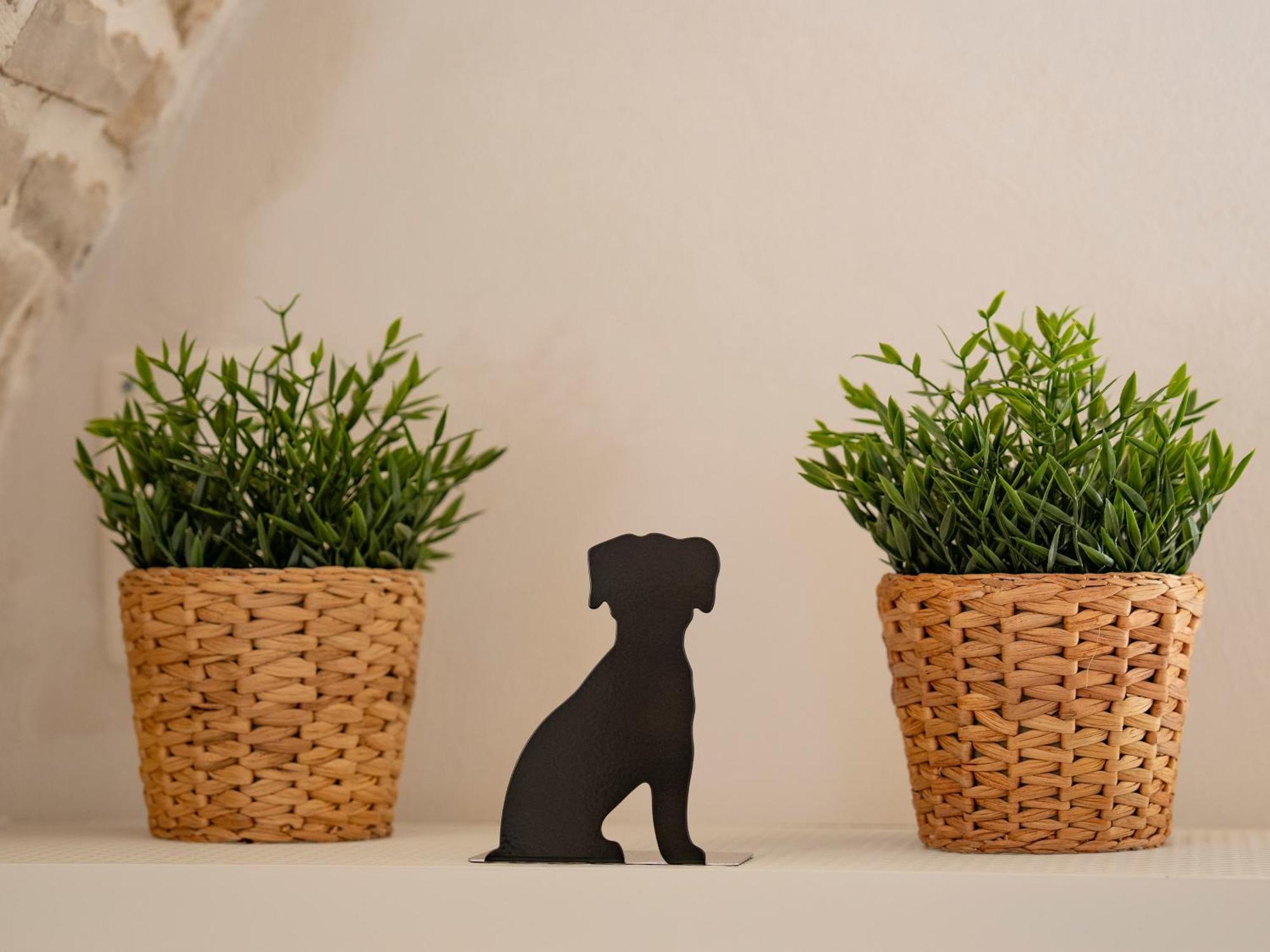 Dimora Corte Sant Angelo Hotel Bitonto Luaran gambar